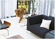 モダン